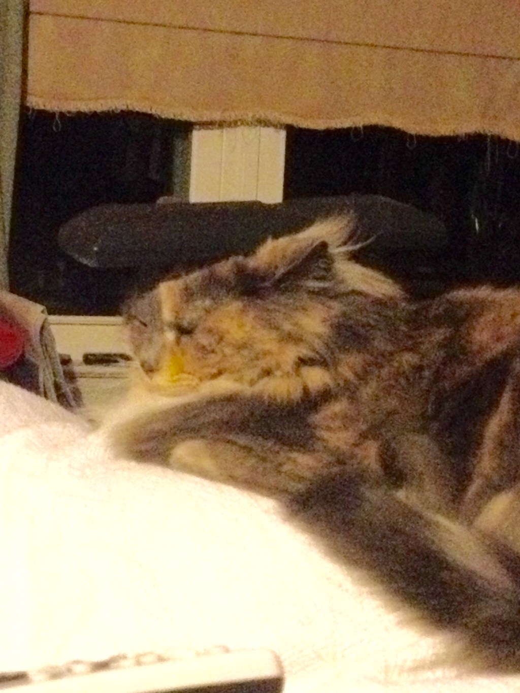 A Relaxing Day,&nbsp;Almost